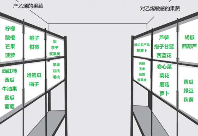 ？怎样存放更健康？一文了解→爱游戏平台哪些果蔬适合放冰箱(图3)