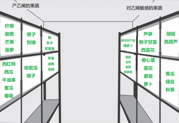 ？怎样存放更健康？一文了解→爱游戏平台哪些果蔬适合放冰箱(图2)